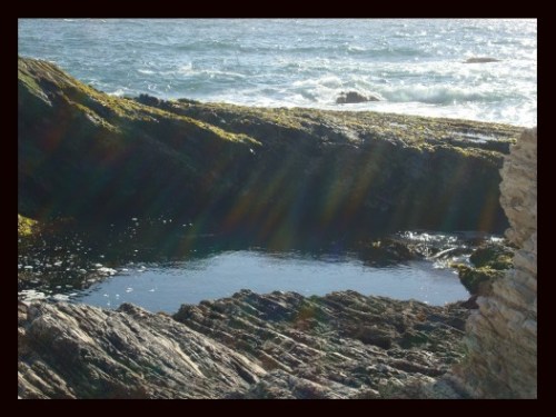 Mdo.original pool.2.13