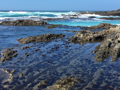 mendocino-coast-9-4-16